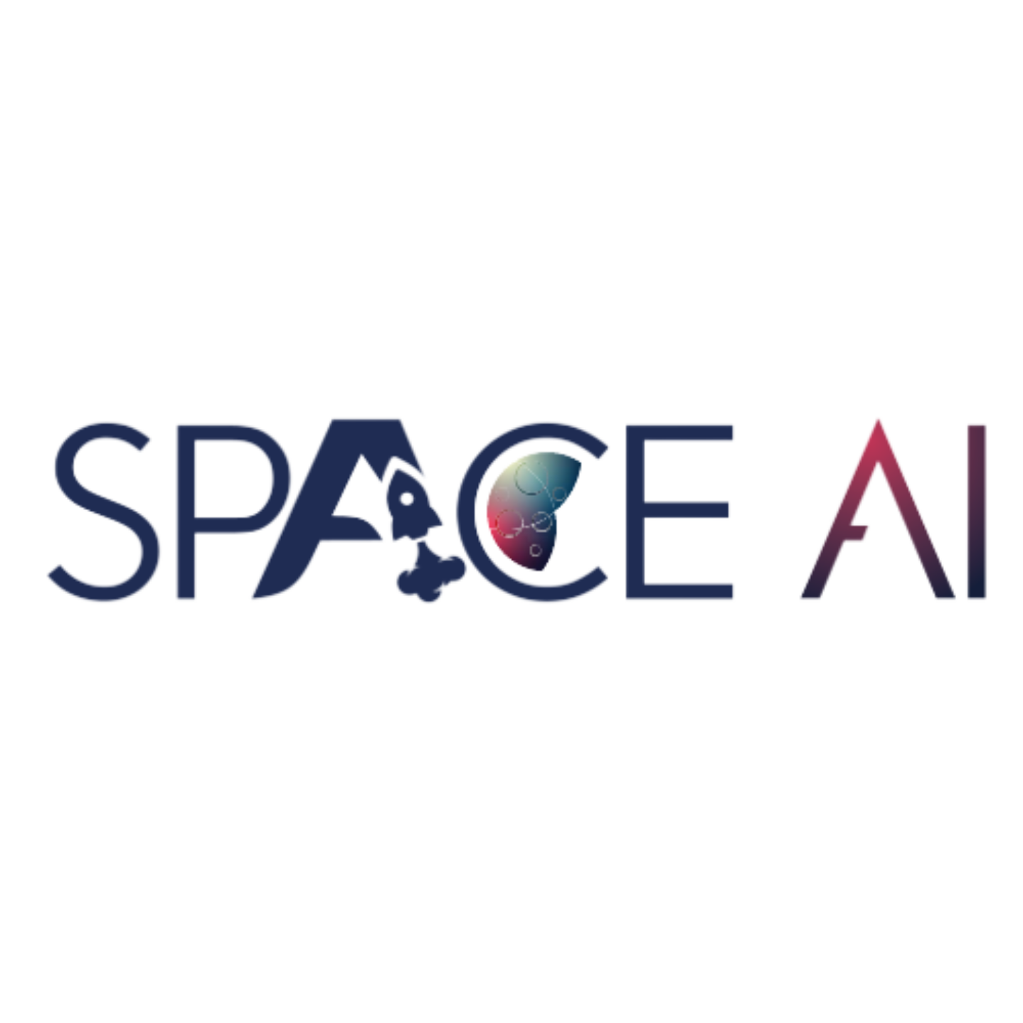 Space AI